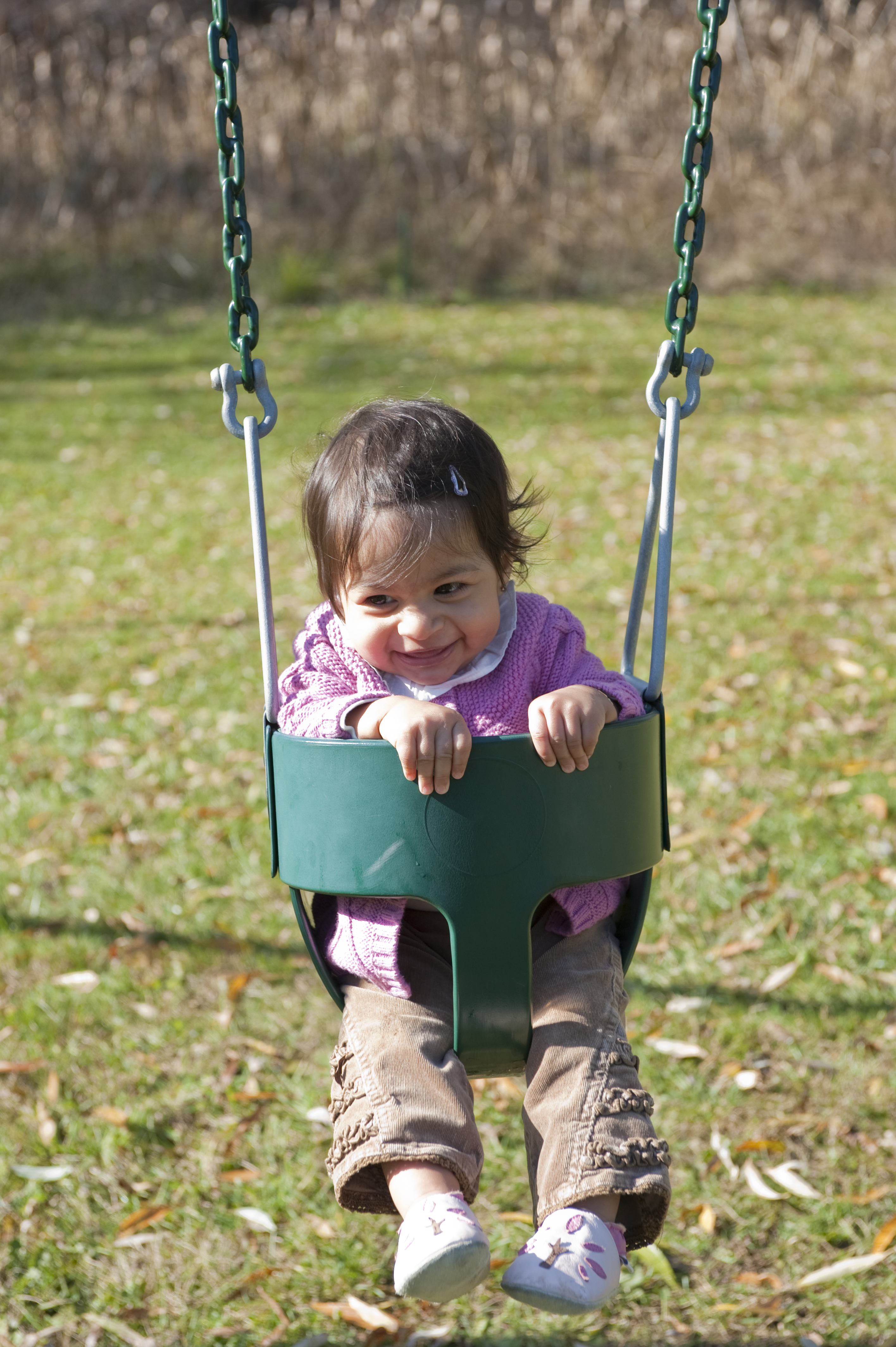 baby on a swing