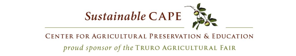 Sustainable Cape logo.cropped